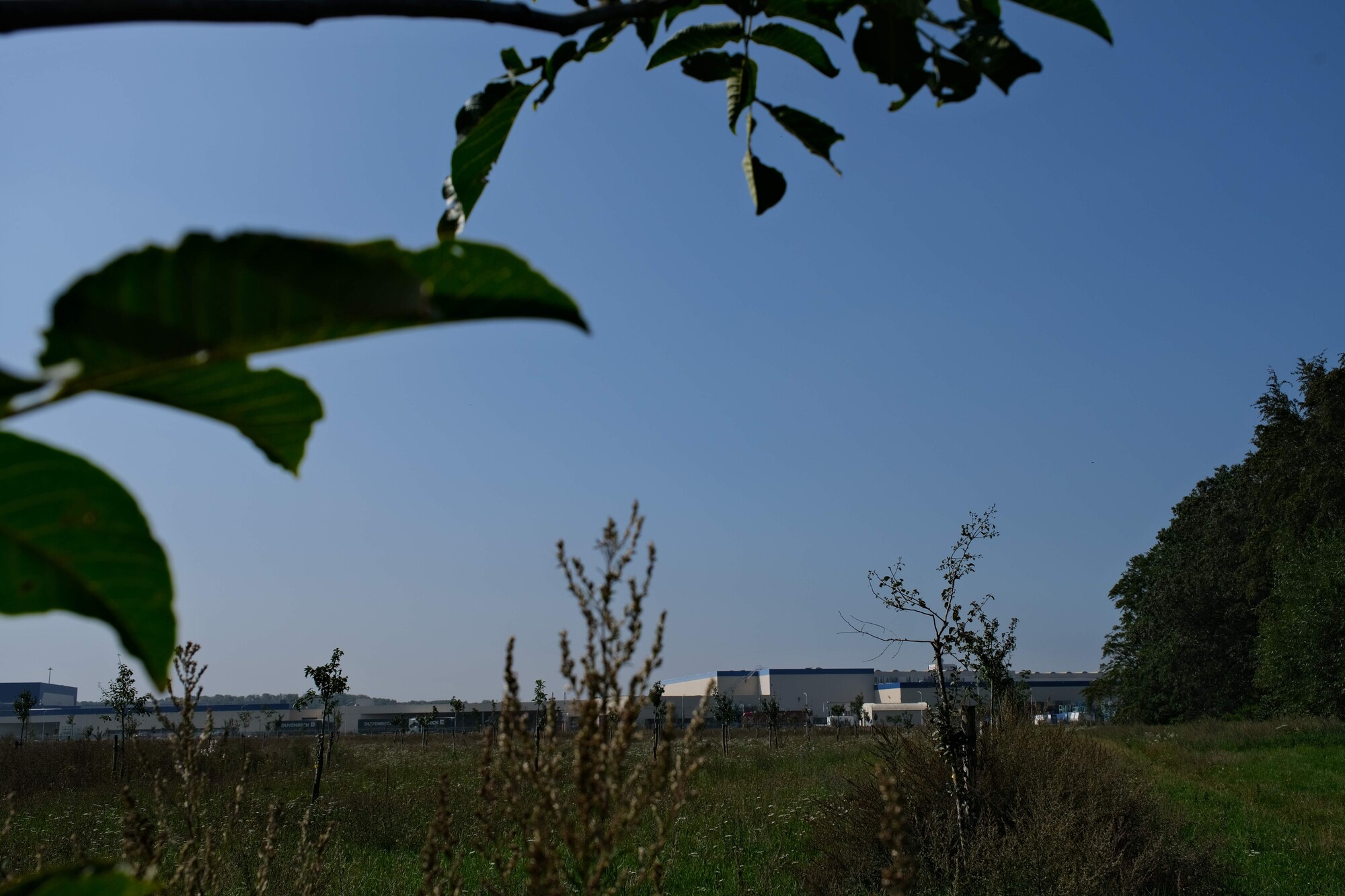 Uitzicht op autofabriek VDL Nedcar vanuit het grasveld dat ernaast ligt