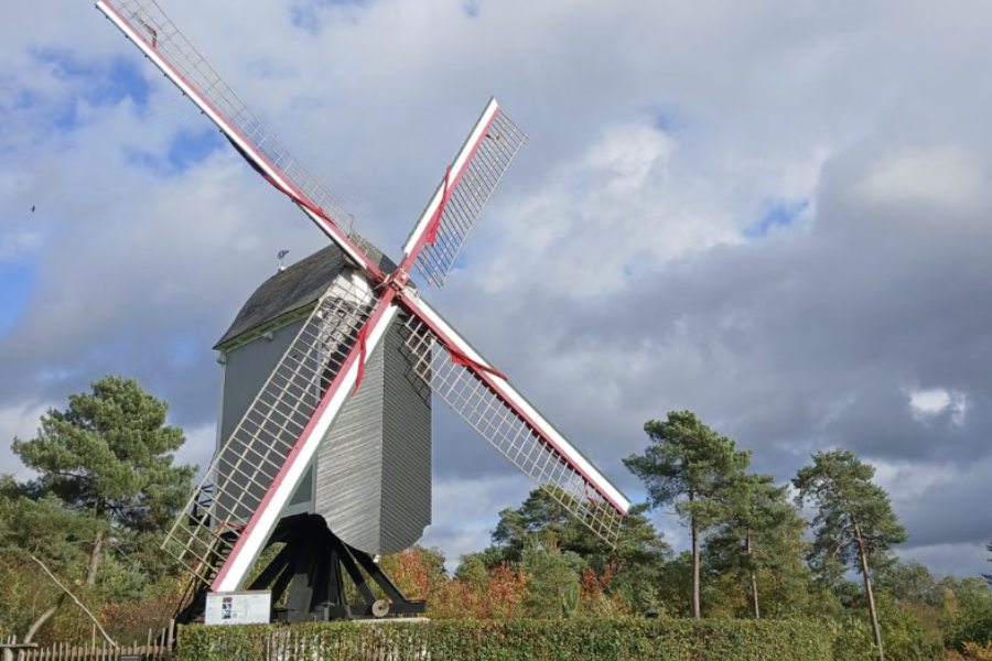 een molen in dalfsen